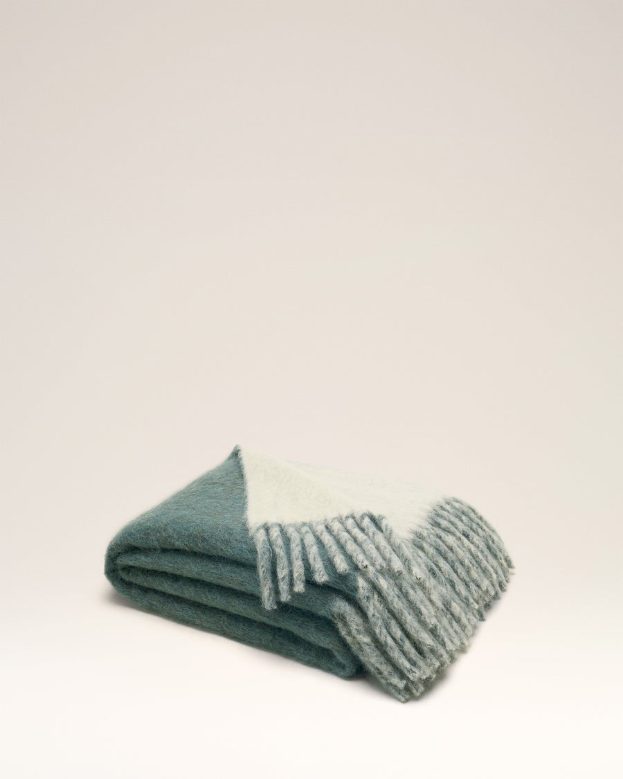 Bicolor Double-Sided Blanket With Ami Alexandre Mattiussi Tab