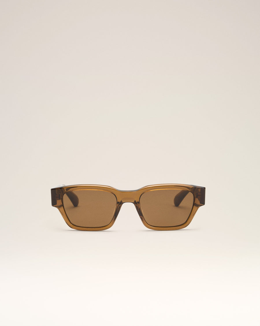 Brown Acetate 75009 Sunglasses